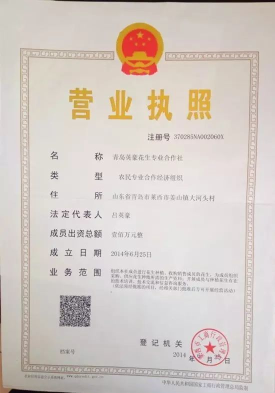 合作共贏，綠動未來——青島英豪花生專業合作社技術交流座談會成功舉辦